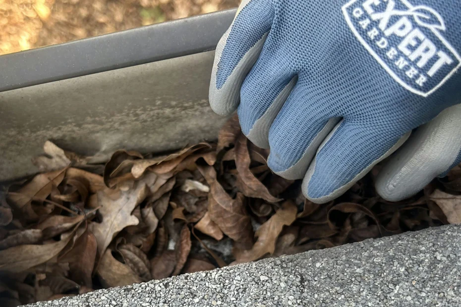 Gutter Cleaning Crestwood KY